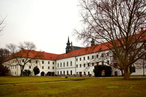 Mendel Museum