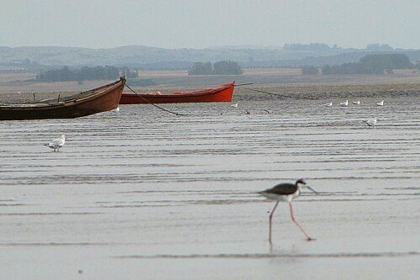 Laguna de Rocha