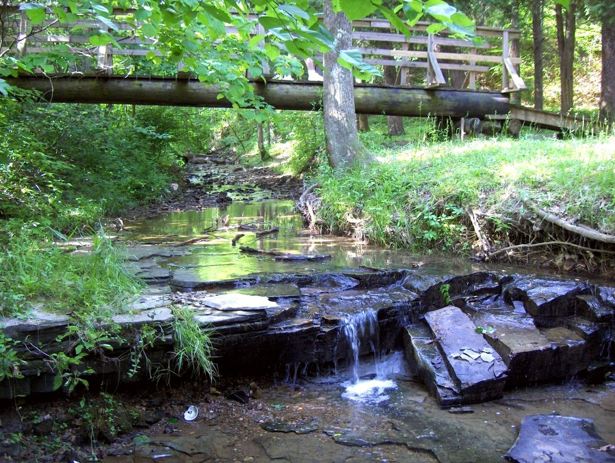 Wildlife Reserve