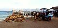 Gili Trawangan