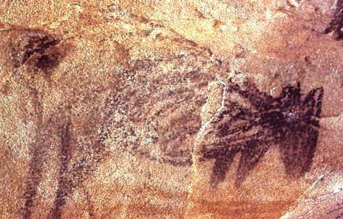 Charcoal drawing of kangaroos in Heathcote National Park