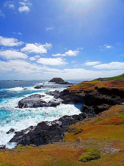 Phillip Island is a popular site for ecotourism. People can be seen here walking along the platform at the Nobbies Centre, on the western tip of the island.