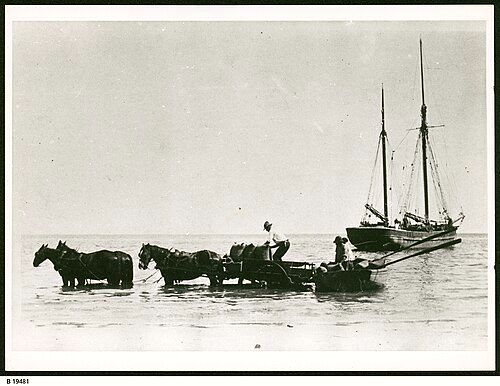 Loading grain from horsedrawn wagons to the ketch Free Selector