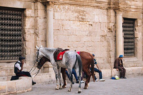An Egyptian tourist police officer with his mounts in Muizz Street