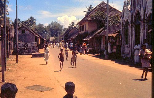 Lokaal eten en drinken - Kochi
