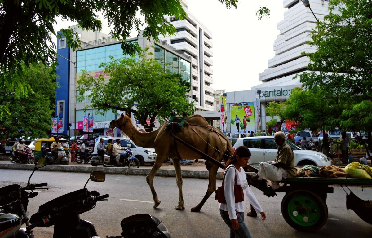 Lokale tradities - Ahmedabad