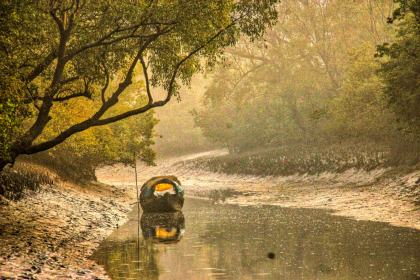 Sundarbans