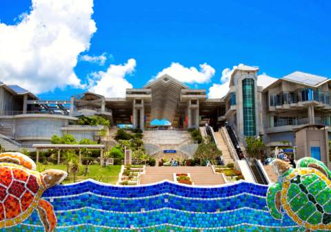 Okinawa Churaumi Aquarium
