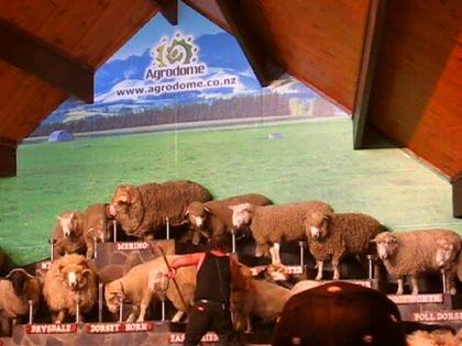 Agrodome