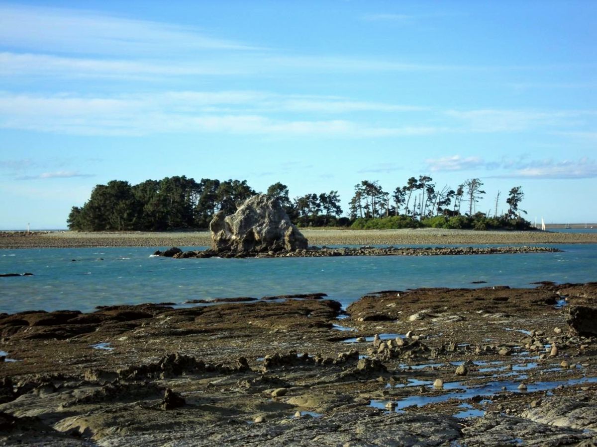 Tahunanui Beach