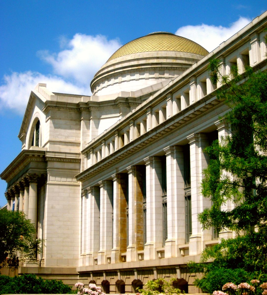 The Natural History Museum