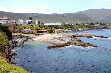 Hermanus