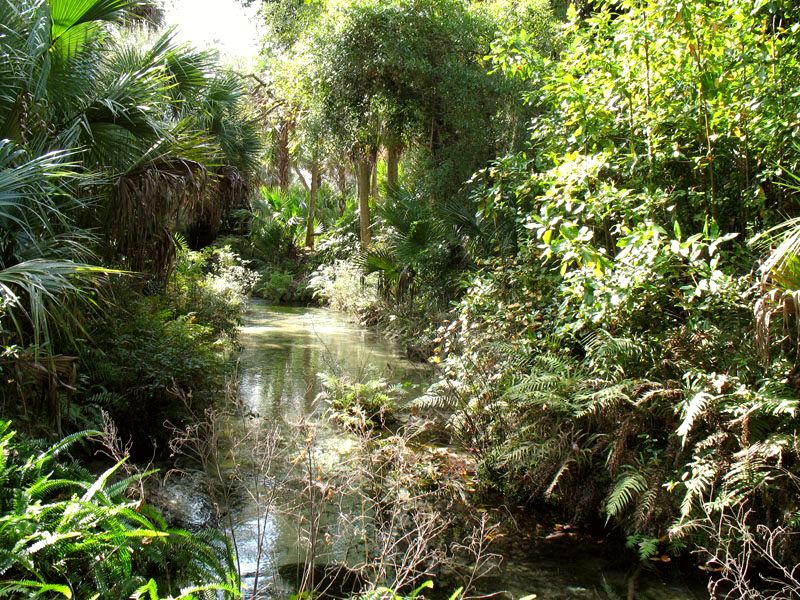 Juniper Springs Recreation Area
