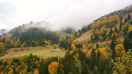 Maçka
