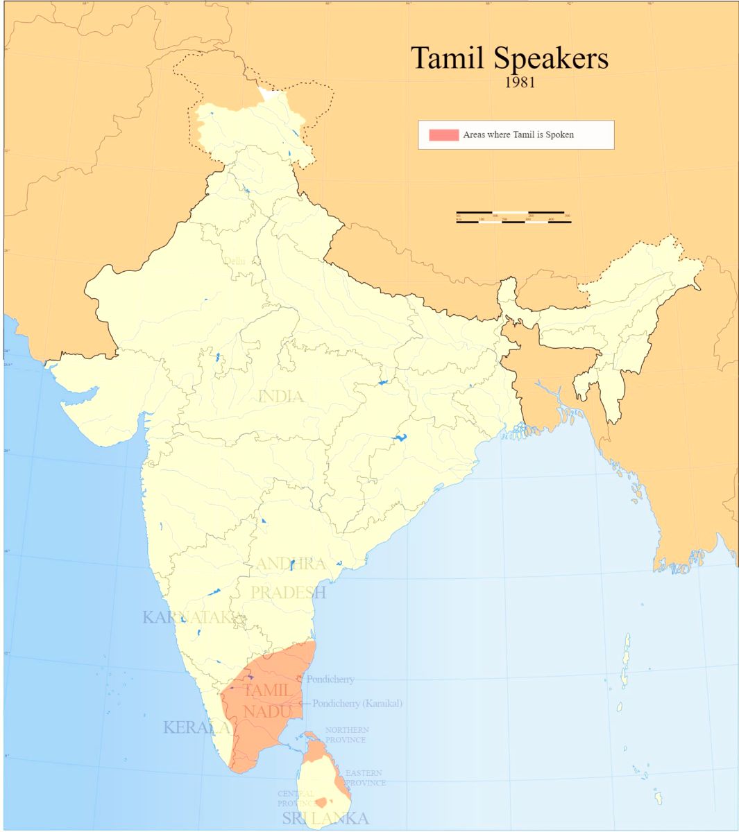 Lokaal eten en drinken - Chennai