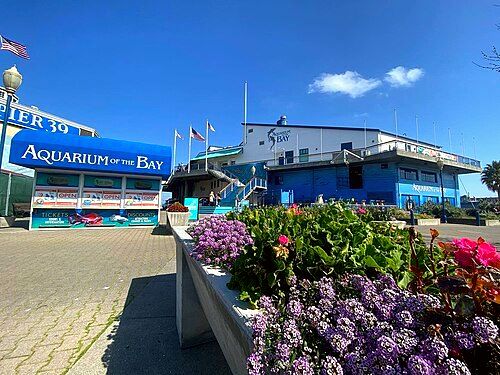 Aquarium of the Bay