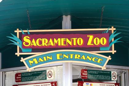 Sacramento Zoo
