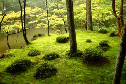 Japanese Garden