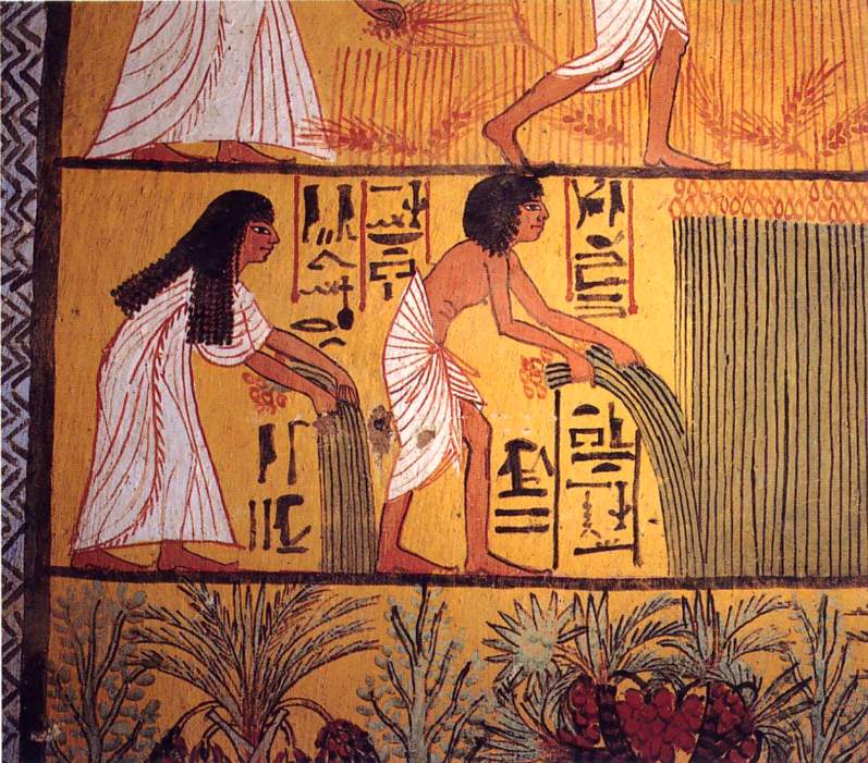 Lokaal eten en drinken - Giza