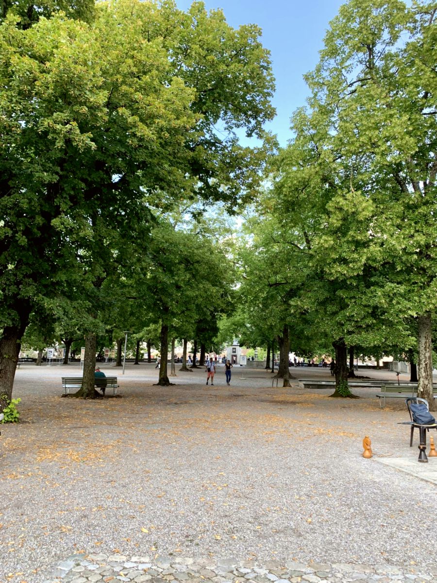 Lindenhof