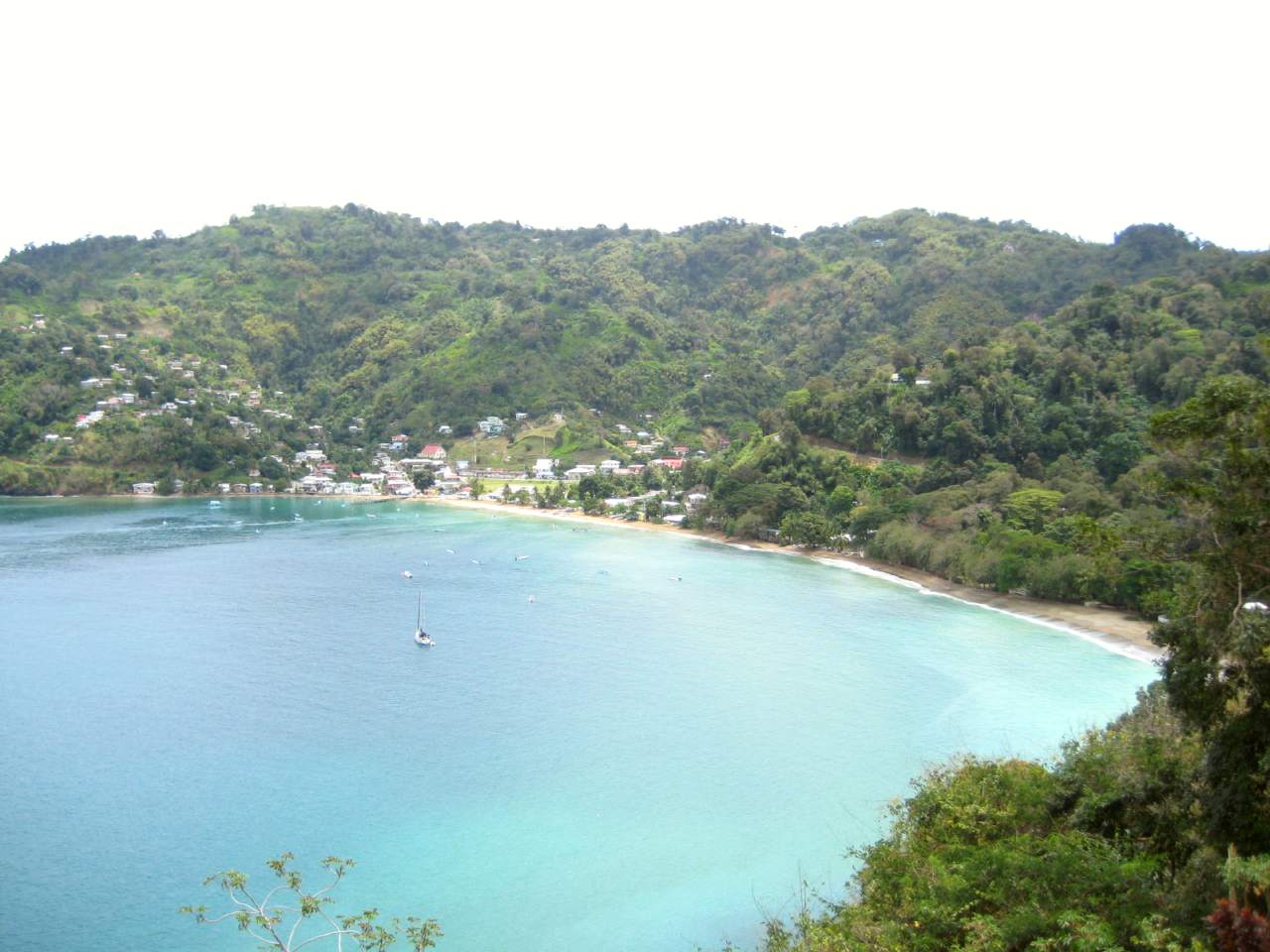 Tobago Main Ridge Forest Reserve