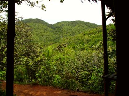 Vallee de Mai