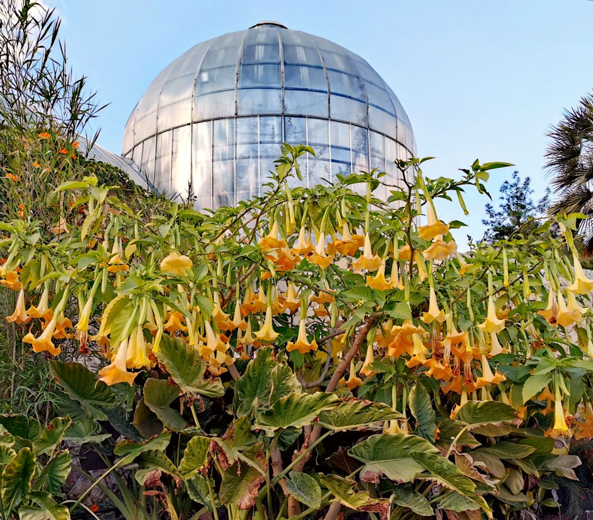 Jerusalem Botanical Gardens