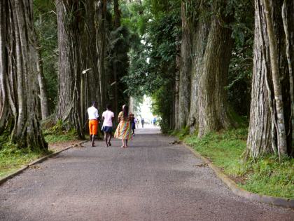 Aburi Botanical Gardens