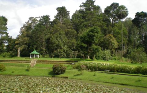 Victoria Park