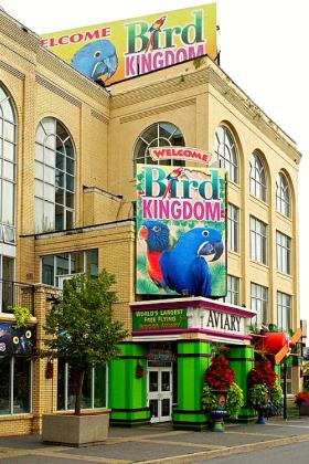 Bird Kingdom