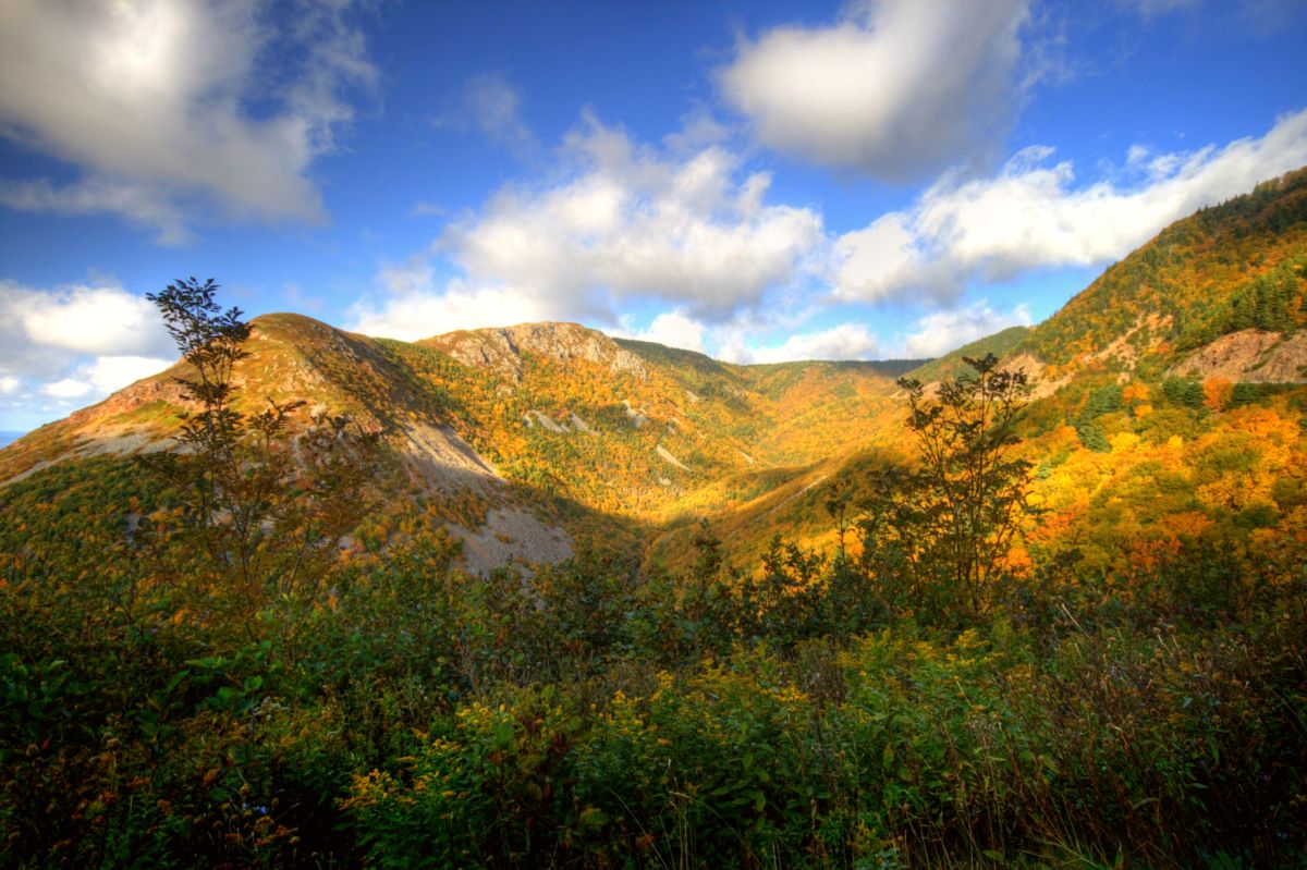 Cape Breton Highlands National Park