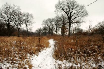 Ojibway Nature Centre