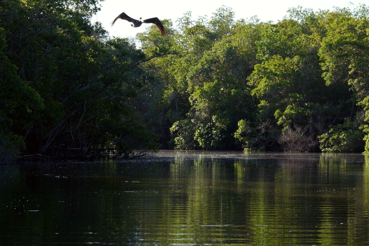 Laguna de Manialtepec