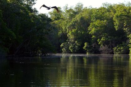 Laguna de Manialtepec