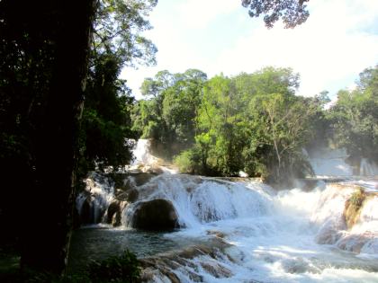 Cascadas de Agua Azul