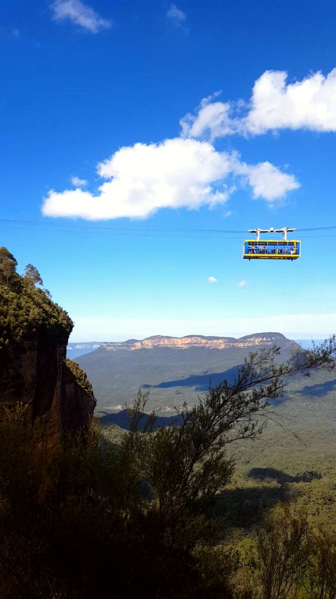 Scenic World