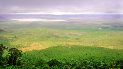 Ngorongoro