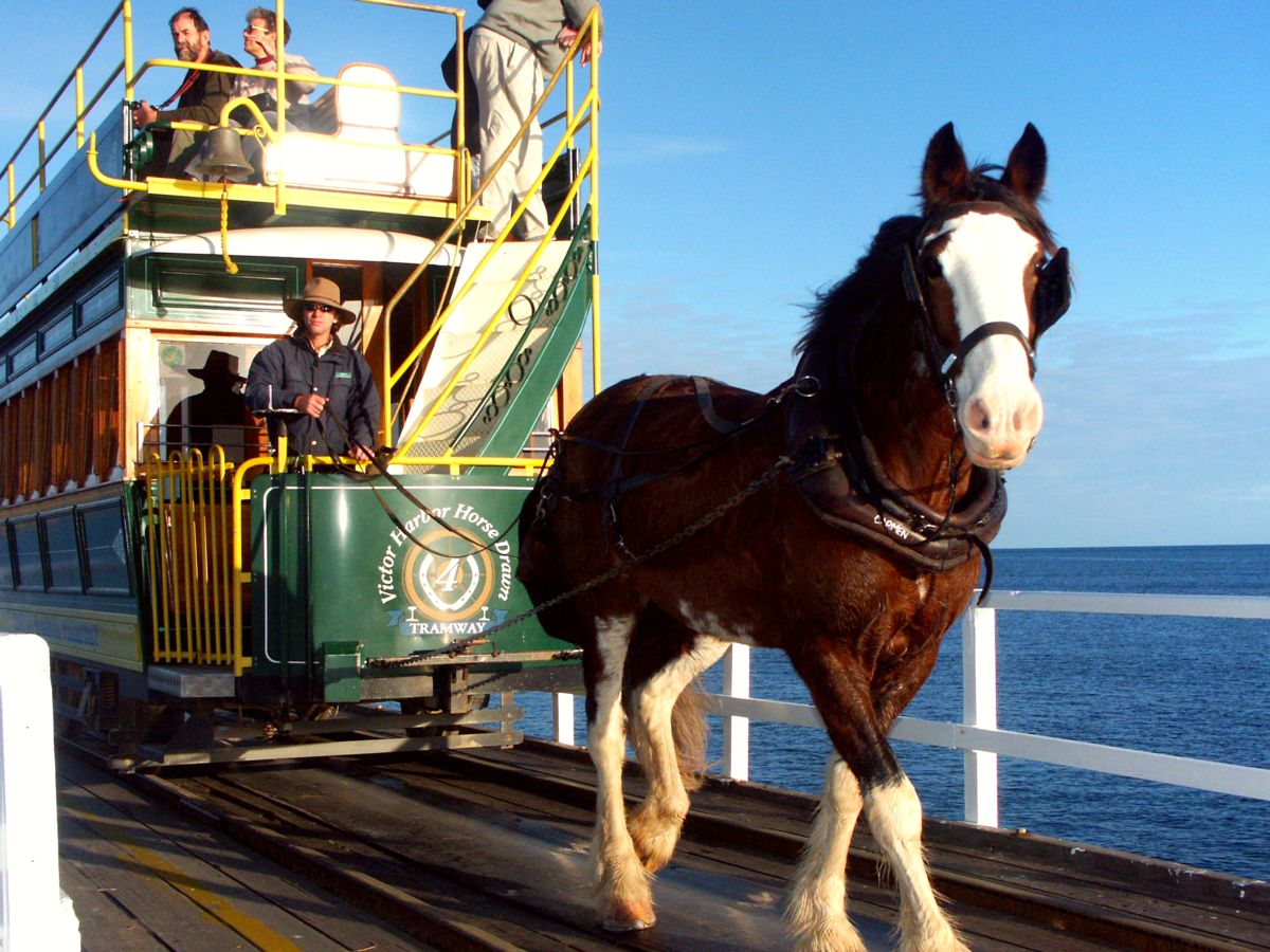 Victor Harbor Horse Drawn Tram