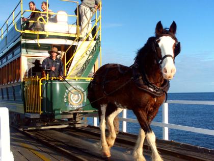 Victor Harbor Horse Drawn Tram