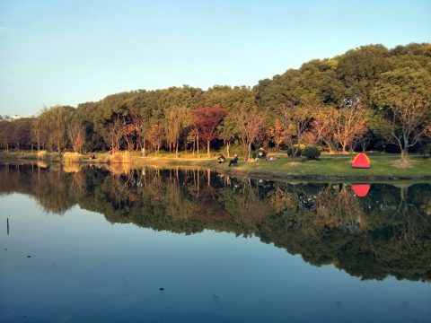 Century Park