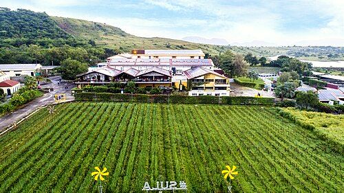 Sula Vineyards