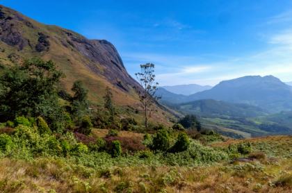 Eravikulam National Park