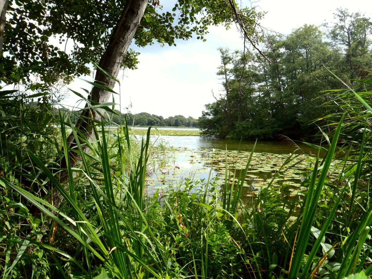 Lyngby Lake