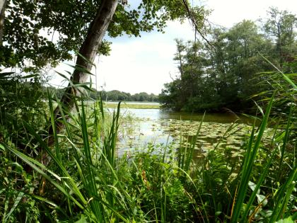 Lyngby Lake