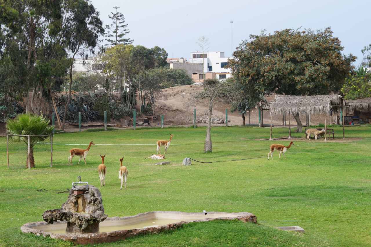 Parque de las Leyendas