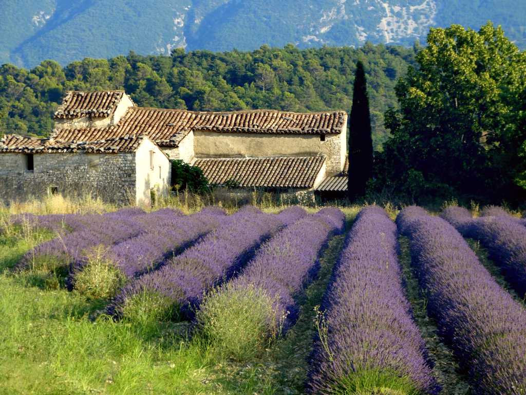 Paysage provençal