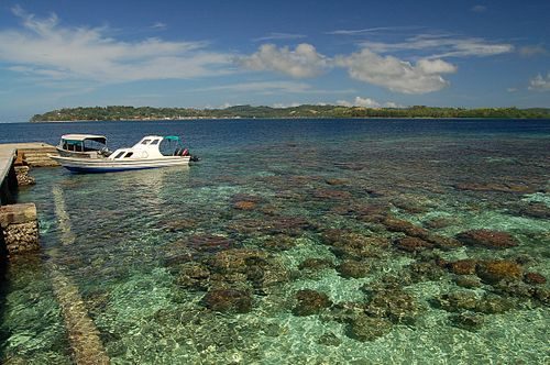 Coral reef in Gizo near the airfield