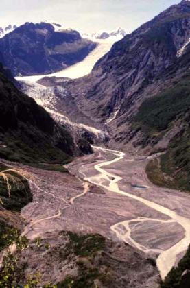 Fox Glacier