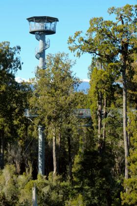 West Coast Treetop Walk