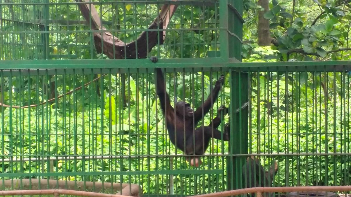 Kumasi Zoo